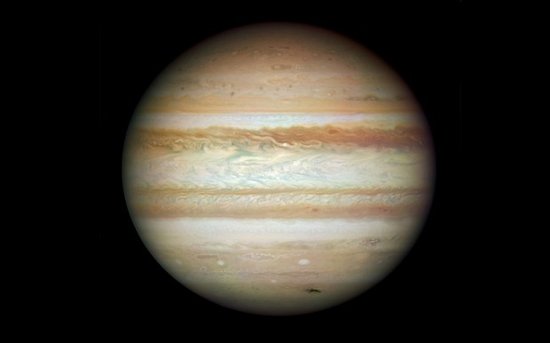 2021047˫ɫ